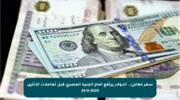 سعر مفاجئ.. الدولار يرتفع أمام الجنيه المصري قبل تعاملات الاثنين 29-9-2025